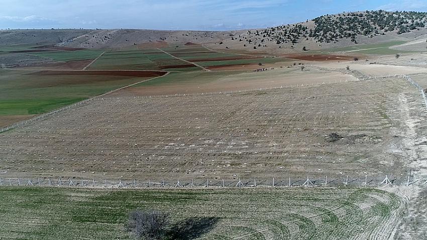 Beyşehir Belediyesi, Meyvecilikte de Yöre Çiftçisine Önder Oluyor