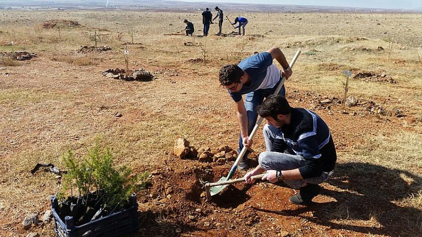 Üniversite Öğrencileri Şehitler Anısına Fidan Dikdi