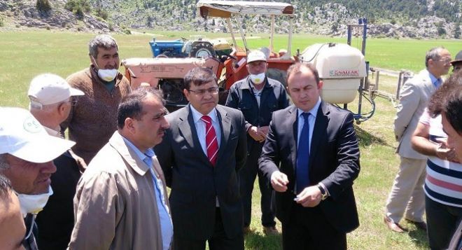 Beyşehirde çekirge tehdidi