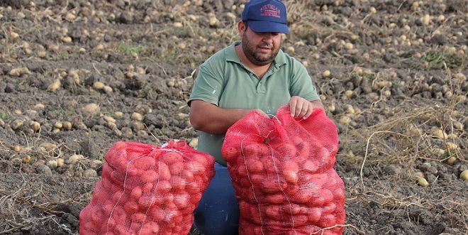 Çiftçinin yeni gelir kapısı