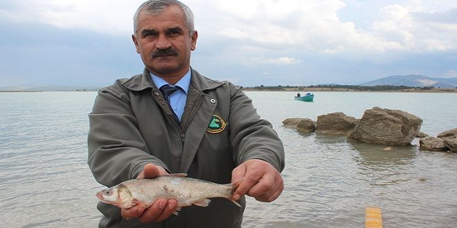 Sırada yağ balığı var