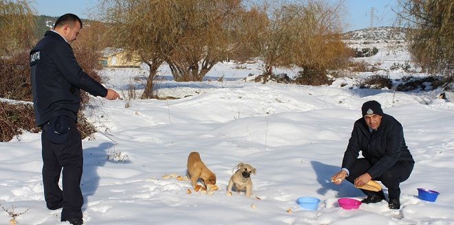 Beyşehir Belediyesi'den Doğaya Yem