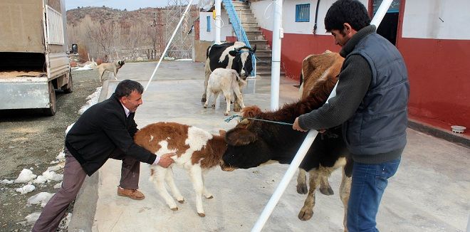 İbradıda çalındı, Beyşehirde bulundu