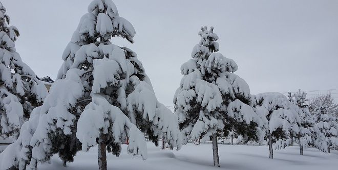 Kar Yağışı Yüz Güldürdü