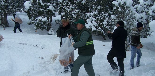 Beyşehir'de Yaban Hayvanlarına Yem Bırakıldı