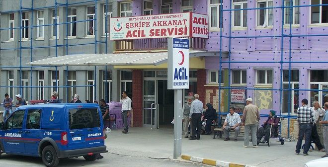 Dut Ağacından Düşen Kişi Öldü