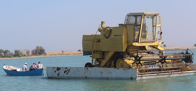 Biçerdöveri Hasat İçin Salla Adaya Çıkardılar