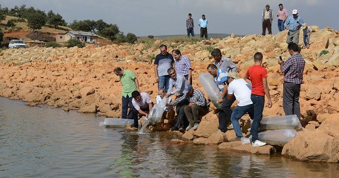 Büyükşehirden Balıkçılığa Destek