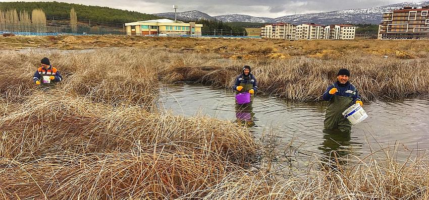 Beyşehir’de Haşereyle Larva Döneminde Mücadele