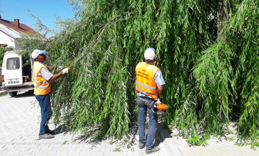 Beyşehir Belediyesi TYP Kapsamında Personel İstihdam Edecek