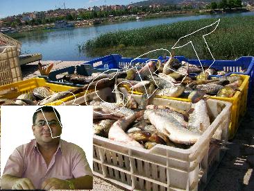 Gölde balık tükenmesin, Beyşehir üzülmesin