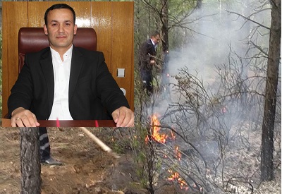 2012\'de 11 Hektarlık Orman Alanı Yandı