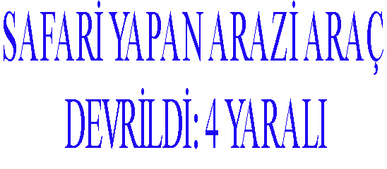 Safari yapan arazi aracı devrildi: 4 yaralı