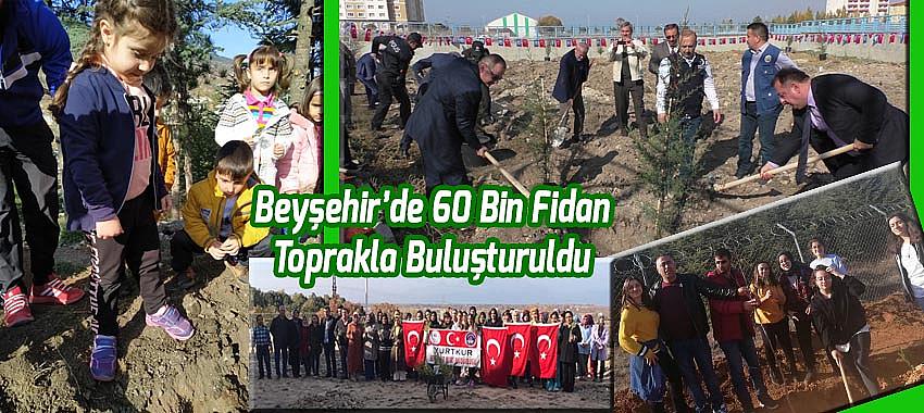 Beyşehir'de 60 bin fidan toprakla buluşturuldu