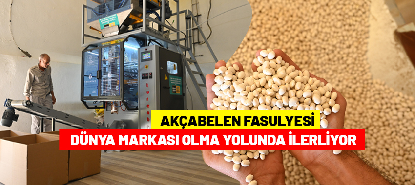 Dünya Markası Olma Yolunda İlerliyor