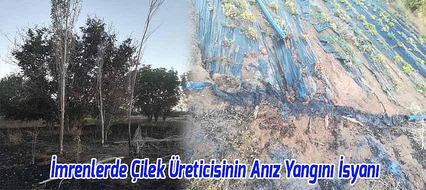 Çilek Üreticisinin Anız Yangını İsyan, 'Yazık günah ya!'