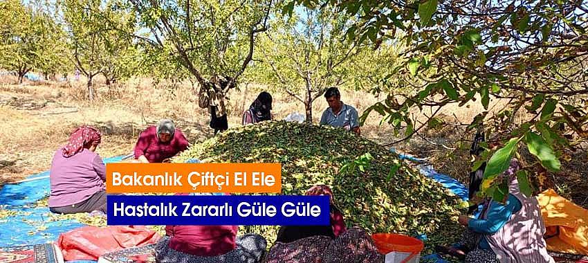 Bakanlık Çiftçi El Ele, Hastalık Zararlı Hüle Güle