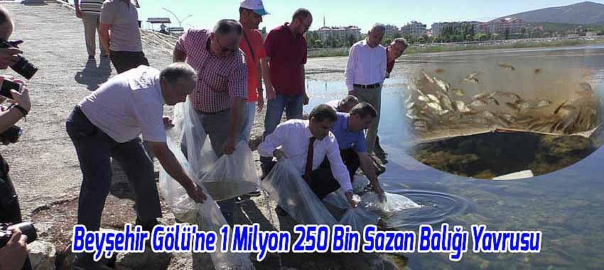 Beyşehir Gölü'ne 1 Milyon 250 Bin Sazan Balığı Yavrusu Salındı