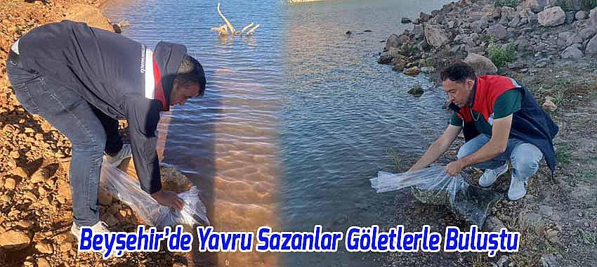 Kategori Haberleri