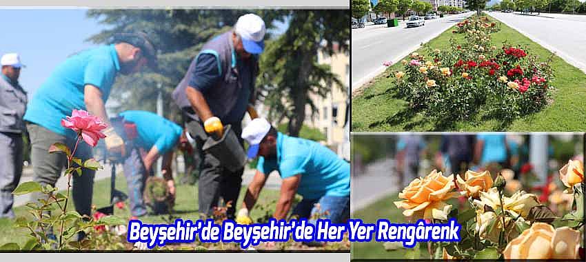 Beyşehir’de her yer rengârenk