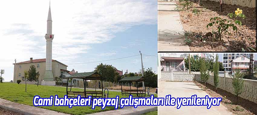 Cami bahçeleri peyzaj çalışmaları ile yenileniyor