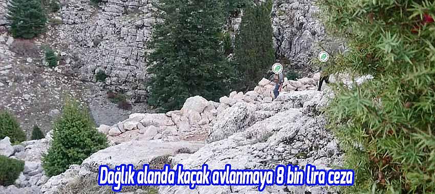 Dağlık alanda kaçak avlanmaya 8 bin lira ceza