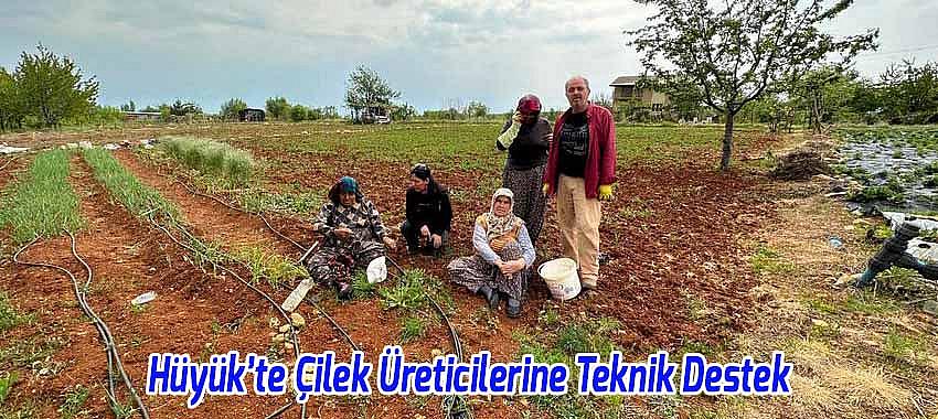 Hüyük’te Çilek Üreticilerine Teknik Destek