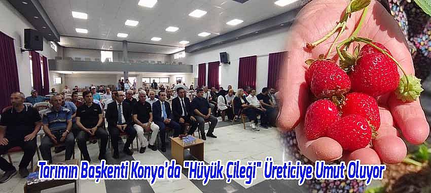 Tarımın Başkenti Konya’da "Hüyük Çileği" Üreticiye Umut Oluyor