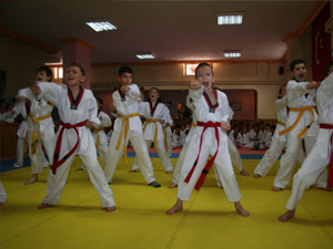 Tekvandoda kuşak heyecanı