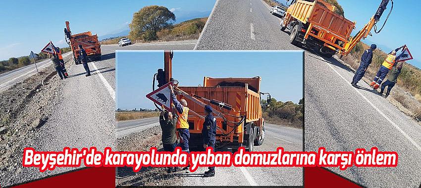 Beyşehir’de karayolunda yaban domuzlarına karşı önlem