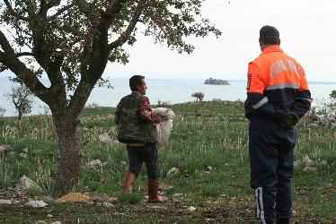 Jandarmadan Şevkat Eli