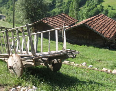 24 Nüfuslu Köy