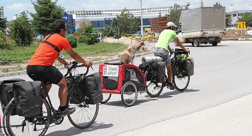 Köpekleriyle Türkiye Turuna Çıkan Bisikletseverler, Beyşehir’de Mola verdi