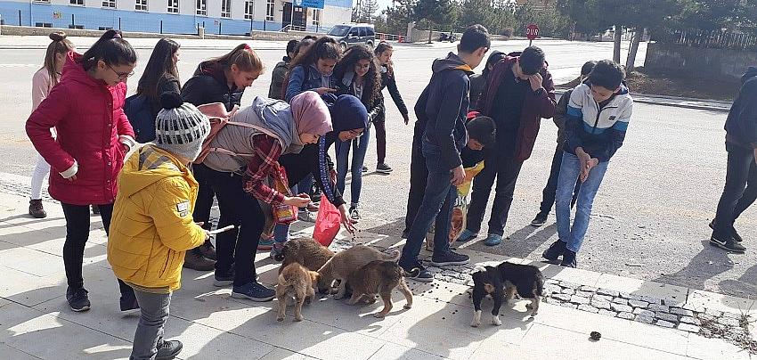 Hayvan Dostu Öğrenciler, Can Dostlara Destek