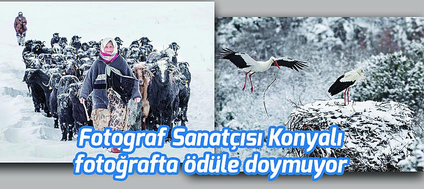 Seyit Konyalı, fotoğrafta ödüle doymuyor