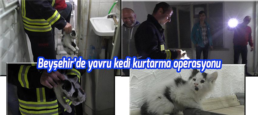 Beyşehir’de yavru kedi kurtarma operasyonu