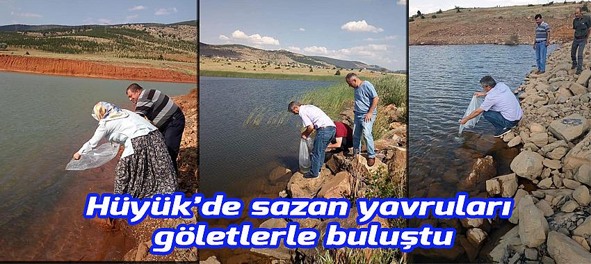 Hüyük’de sazan yavruları göl ve göletlerle buluştu