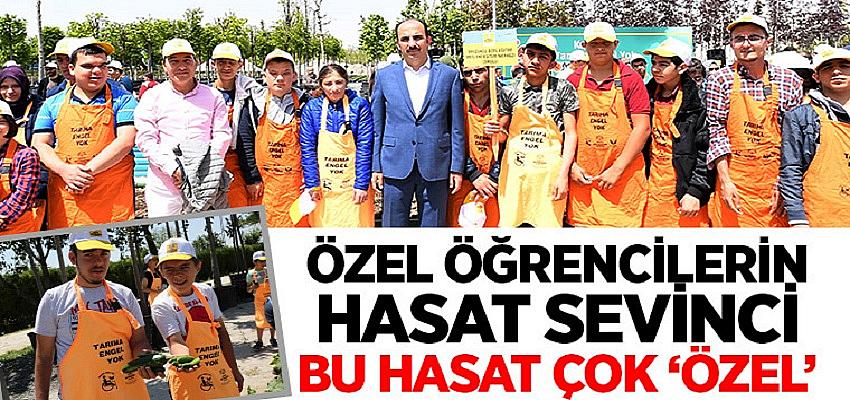 Özel Öğrencilerin Hasat Sevinci