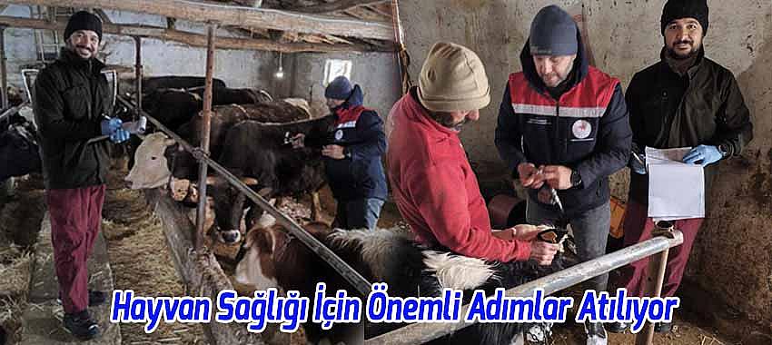 Kategori Haberleri