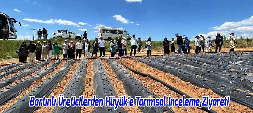 Bartınlı Üreticilerden Hüyük