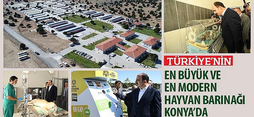 Türkiye’nin En Büyük ve En Modern Hayvan Barınağı Konya’da