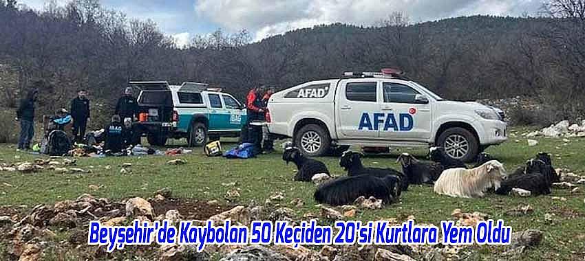 Kategori Haberleri