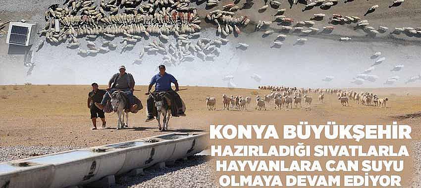 Konya Büyükşehir Hazırladığı Sıvatlarla Hayvanlara Can Suyu Olmaya Devam Ediyor