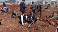 Beyşehir'de 500 Fidan Toprakla Buluşturuldu