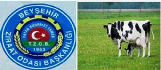 Kırmızı Et Üreticileri Beyşehir Şubesi Açıldı