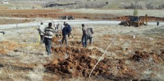Ağaçlandırma çalışmalarına başlandı