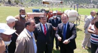 Beyşehirde çekirge tehdidi