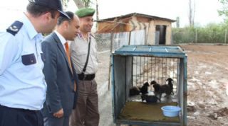 Beyşehire köpek barınağı