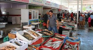 Balık hali açılışı yapıldı