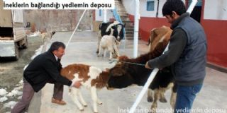 Beyşehirdeki hırsızlık iddiası